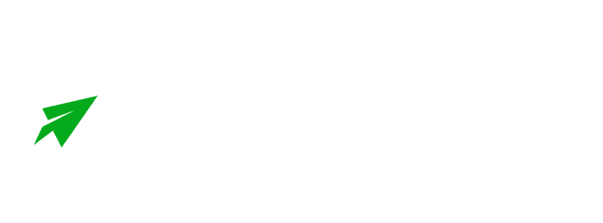 Visernic Organization