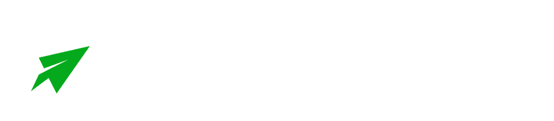 Visernic Organization